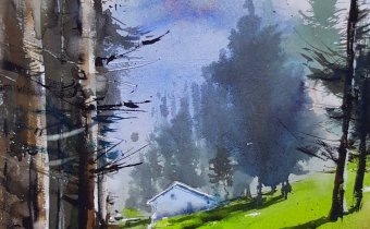 Forest 1